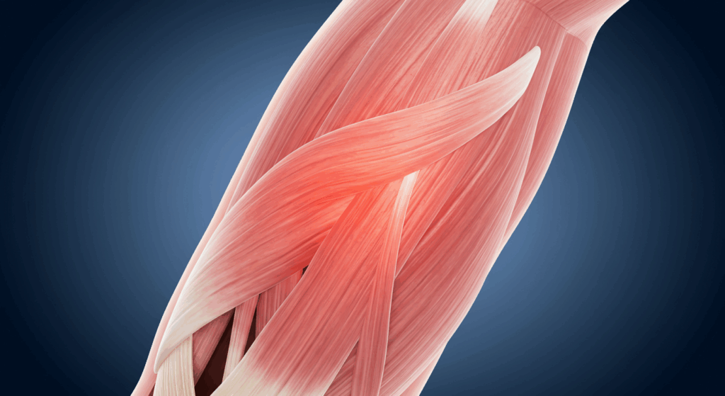 Lower Back Pain Chiropractor